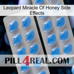 Leopard Miracle Of Honey Side Effects 23